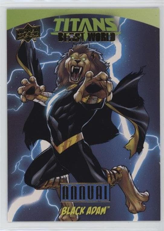 Black Adam #BW-5 — 2023-24 DC Annual