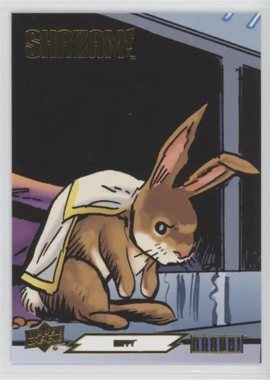 Hoppy #S!-16 — 2024-25 Upper Deck DC Annual