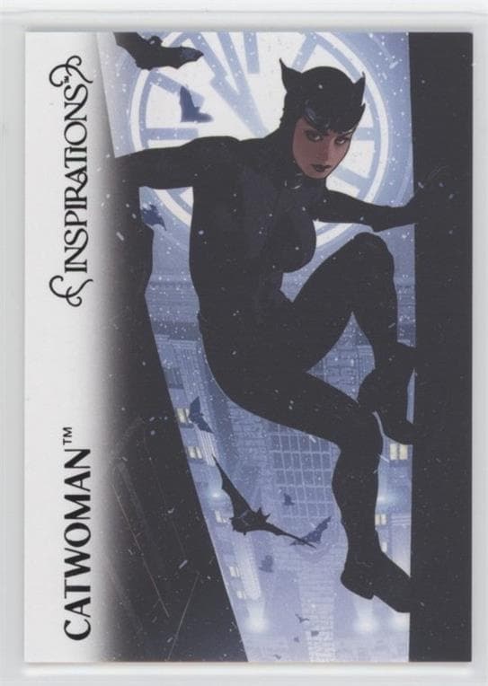 Catwoman #16 — Inspirations: The World of DC