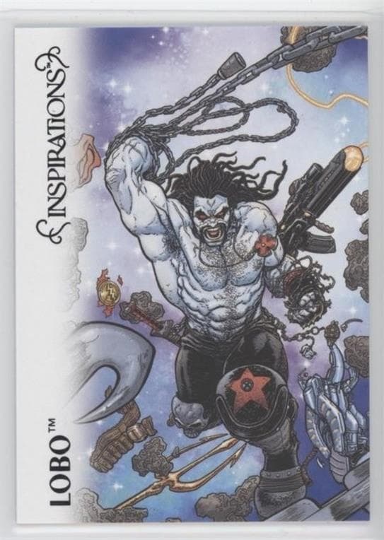 Lobo #17 — Inspirations: The World of DC