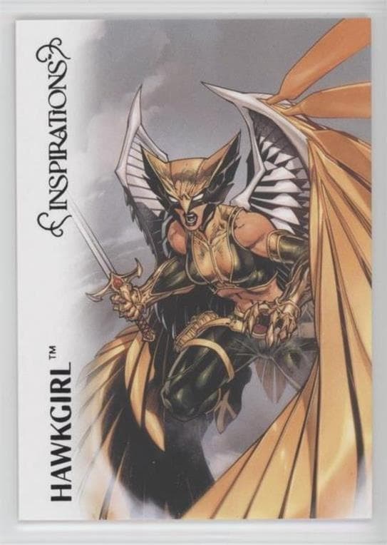 Hawkgirl #2 — Inspirations: The World of DC