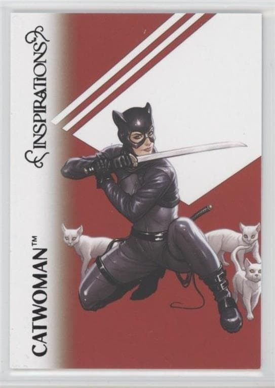 Catwoman #21 — Inspirations: The World of DC