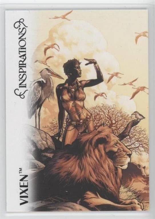 Vixen #35 — Inspirations: The World of DC