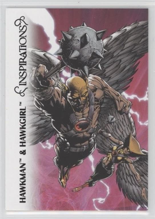 Hawkman, Hawkgirl #63 — Inspirations: The World of DC