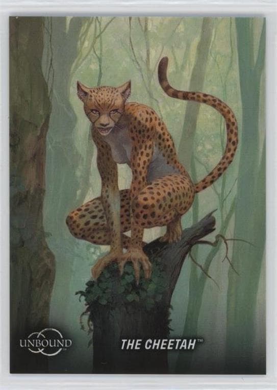 The Cheetah #24 — Unbound: Laura Zuccheri