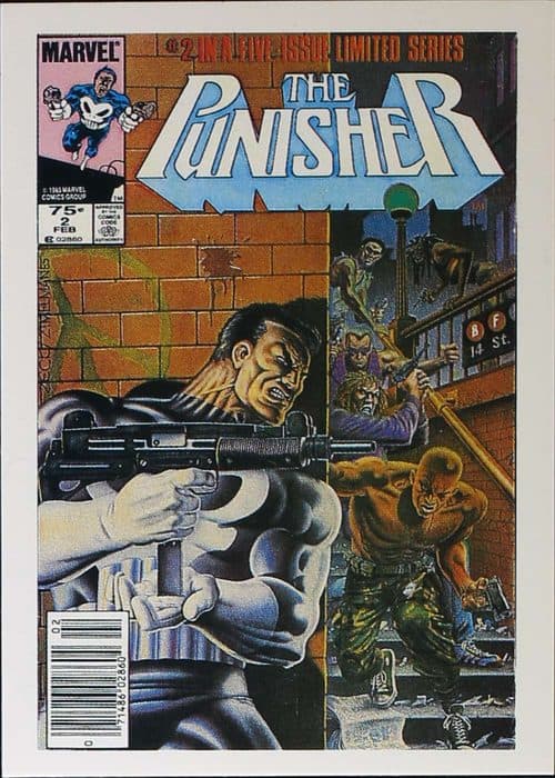 Back to the War #12 — The Punisher - The Whole Tough Tale