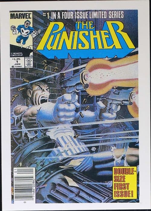 Circle of Blood #2 — The Punisher - The Whole Tough Tale
