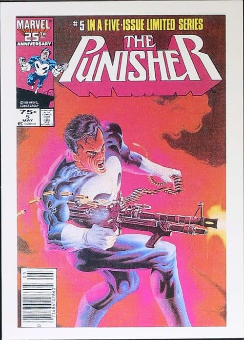 Final Solution II #42 — The Punisher - The Whole Tough Tale