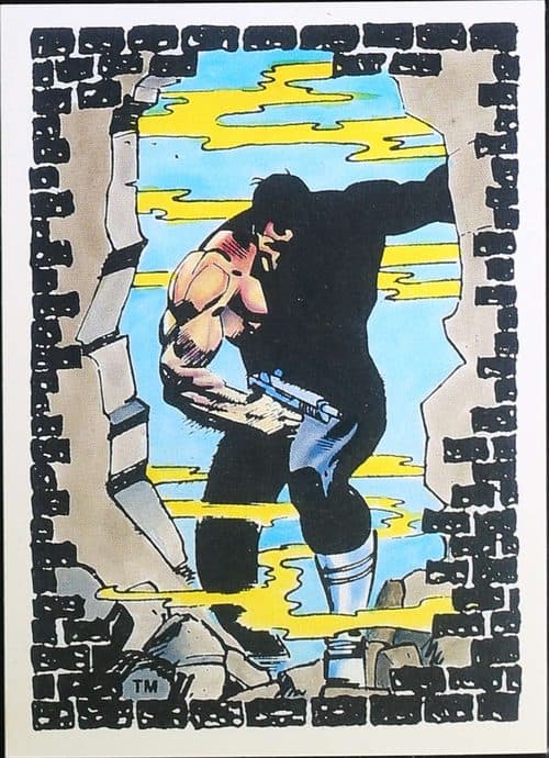Breakout #45 — The Punisher - The Whole Tough Tale