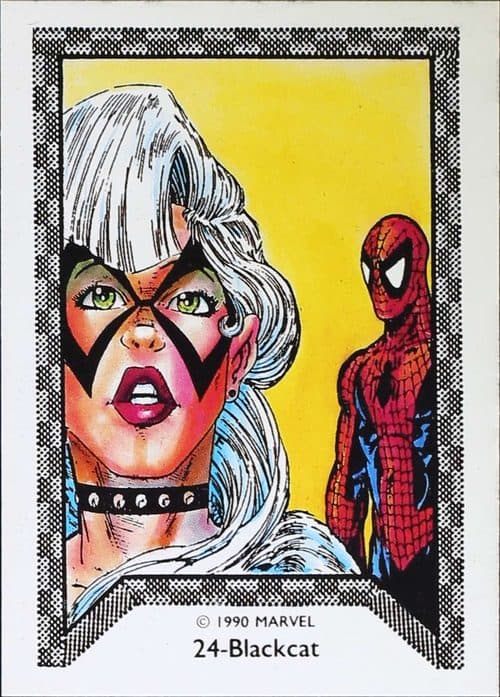 Blackcat #24 — Spider-Man Team-Up