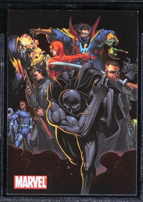 Black Pather #CT5 — Marvel: Heroes and Villains