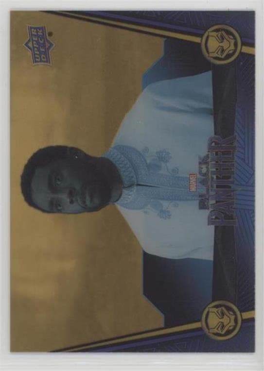 Back to Reality #24 — 2018 Upper Deck Marvel's Black Panther