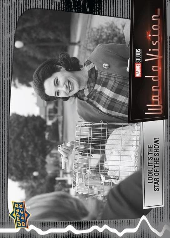 Look, It's the Star of the Show! #14 — 2022 Upper Deck Marvel Studios' WandaVision