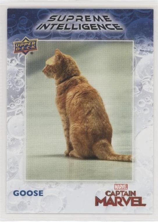 Goose #SI-10 — Avengers Endgame and Captain Marvel