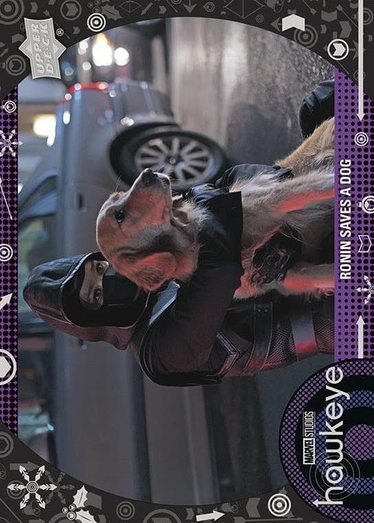 Ronin Saves a Dog #14 — Marvel Studios' Hawkeye