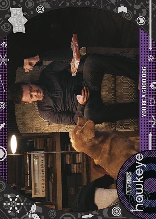 You're a Good Dog #23 — Marvel Studios' Hawkeye