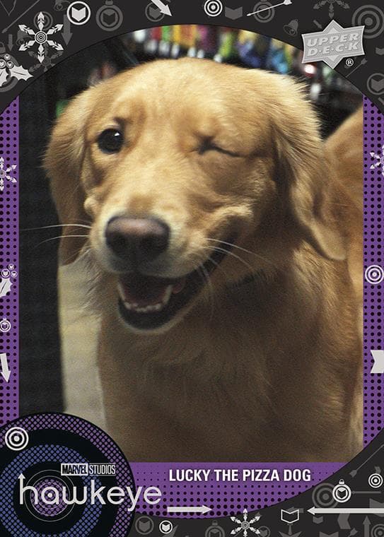 Lucky the Pizza Dog #98 — Marvel Studios' Hawkeye