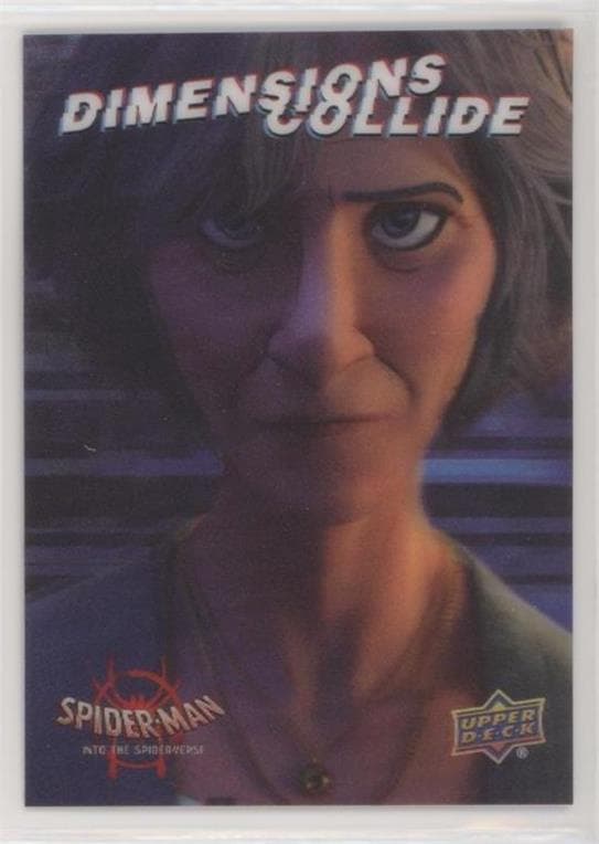 Aunt May #DC-10 — Spider-Man: Into the Spider-Verse