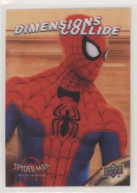 Spider-Man #DC-22 — Spider-Man: Into the Spider-Verse